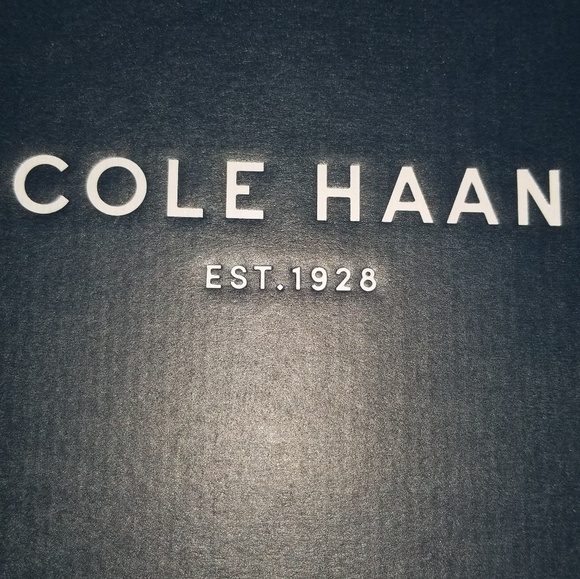 cole haan harrison double monk strap